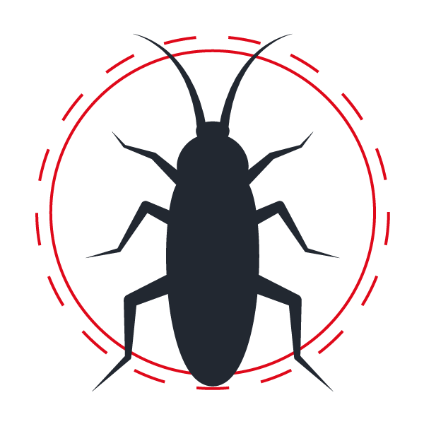 Exterminateurs de cafards